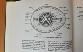 Morphogenesis of the Vertebrates - T.W. Torrey