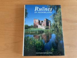 Ruïnes in Nederland - A.G. Schulte