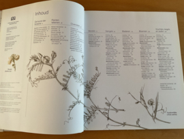 Flora voor kunstenaars - S. Simblet