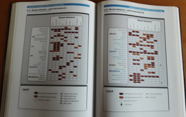 Atlas of Psychiatric Pharmacotherapy - R. Shiloh / R. Stryer / A. Weizman / D. Nutt