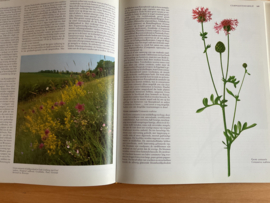 Nederlandse oecologische flora, deel 4 - E.J. Weeda /R. Westra / Ch. Westra / T. Westra