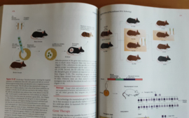 An introduction to Genetic Analysis - A. Griffiths / J. Miller / D. Suzuki / R. Lewontin / W. Gelbart