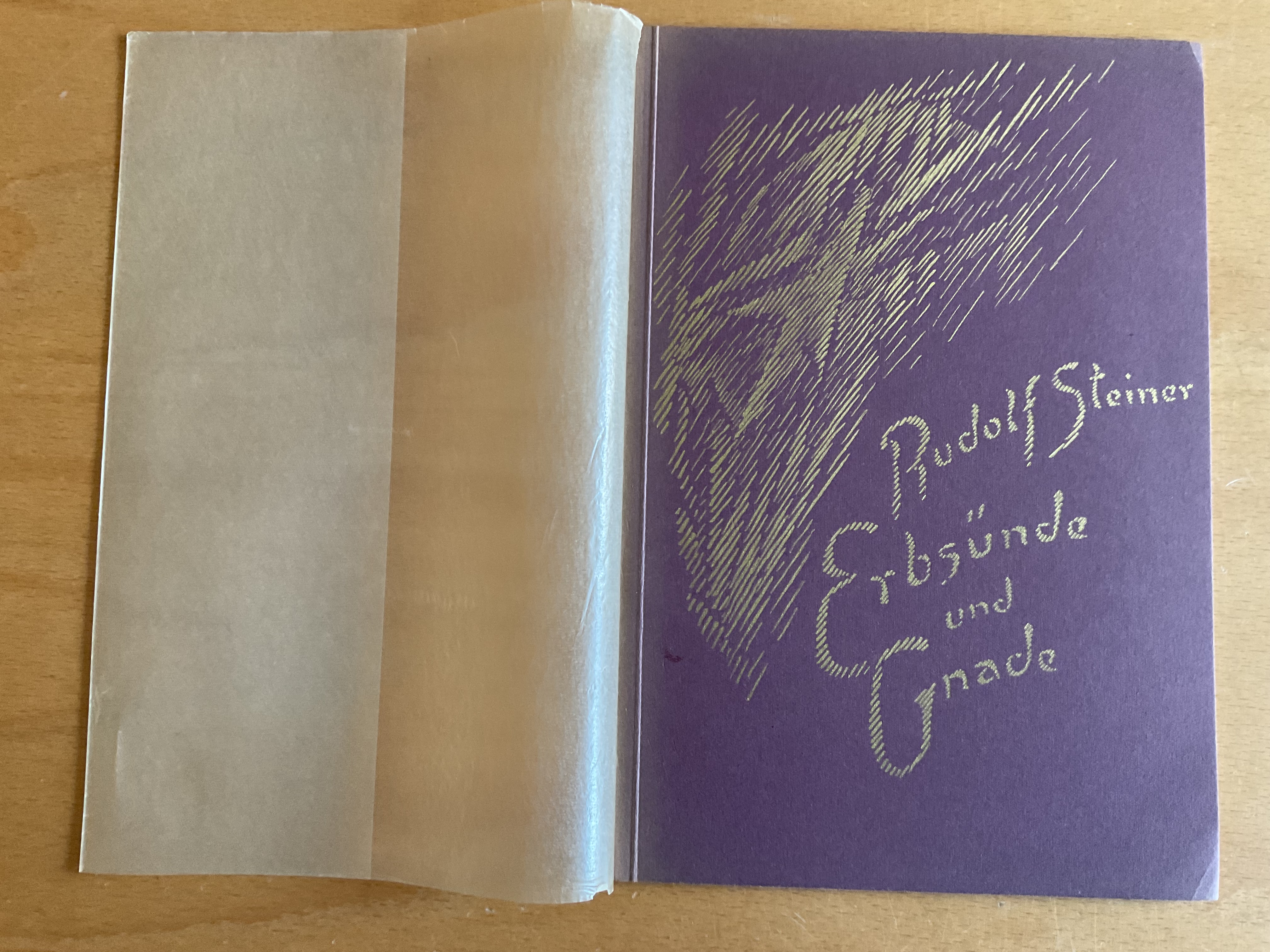 Erbsünde und Gnade - R. Steiner