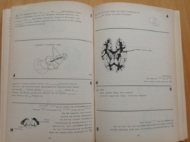 Neuroanatomie programmiert 1 - R.L. Sidman / M. Sidman