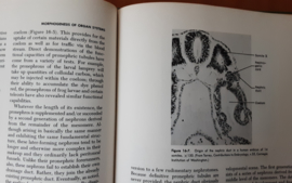 Morphogenesis of the Vertebrates - T.W. Torrey