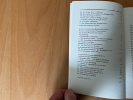 Das Evangelium der Bewusstseins-Seele - L. Ravagli