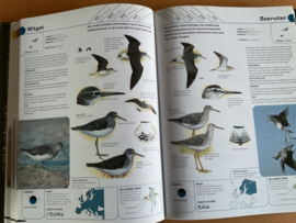 Alle vogels van Europa, met digitale veldgids inclusief vogelzang (CD)- P. Hayman / R. Hume