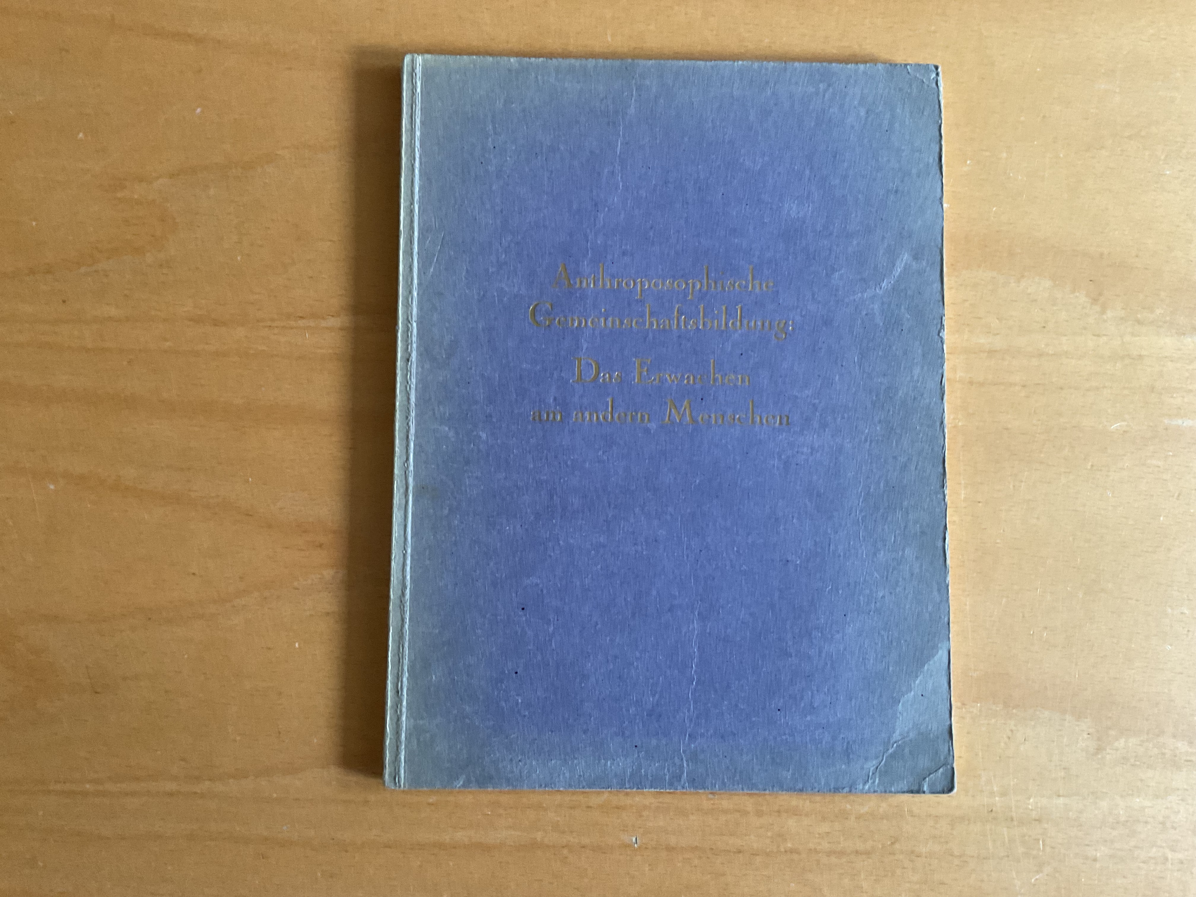 Anthroposophische Gemeinschaftsbildung: Das Erwachen am anderen Menschen - R. Steiner