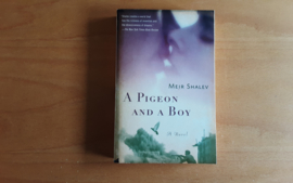 A Pigeon and a Boy - M. Shalev
