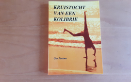 Kruistocht van een kolibrie - G. Postma