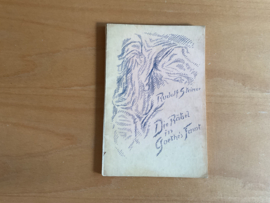 Die Rätsel in Goethes Faust - R. Steiner