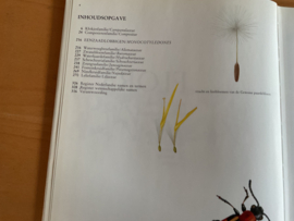Nederlandse oecologische flora, deel 4 - E.J. Weeda /R. Westra / Ch. Westra / T. Westra