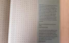 Verzameld werk - B. Schulz