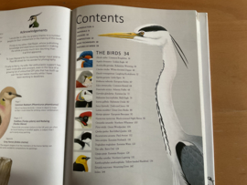 A - Z of Bird Portraits - A. Forkner
