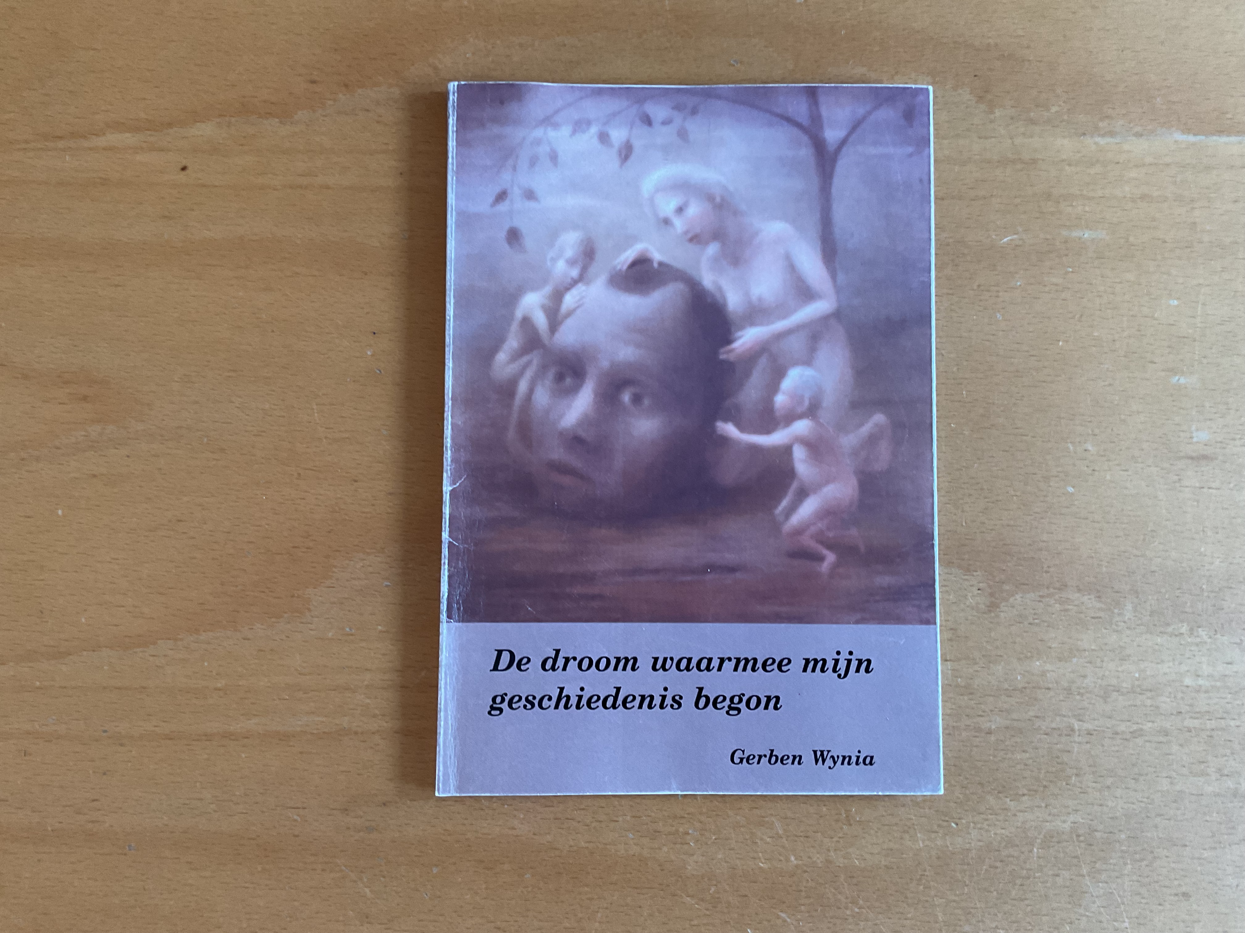 De droom waarmee mijn geschiedenis begon - G. Wynia