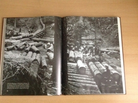 The loggers - R.L. Williams