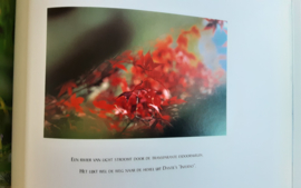 Eilanden van licht - A. Steegmans