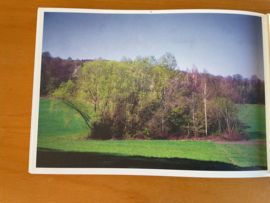 Die Wiese  / the meadow. Esxhenau 1986-2013 - H. de Vries / S. de Vries