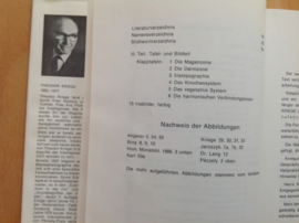 Grundbegriffe der Irisdiagnostik - T. Kriege / G. Lindemann