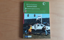 BV in balans. Basiskennis statistiek - G. van Heeswijk, J. Mijnster, K. Broersen e.a.