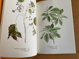Siebolds bloementuin - H. Beukers / H. Kuijpers / K. Oyamatsu / W. Remmelink / C. Teune