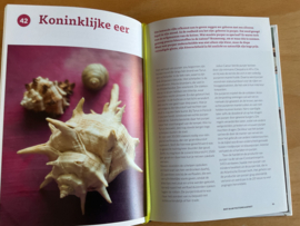 Het rariteitenkabinet - K. Nanninga