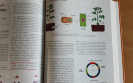 An introduction to Genetic Analysis - A. Griffiths / J. Miller / D. Suzuki / R. Lewontin / W. Gelbart