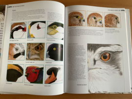 A - Z of Bird Portraits - A. Forkner