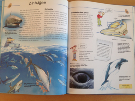 Haaien, walvissen en dolfijnen - S. Englert
