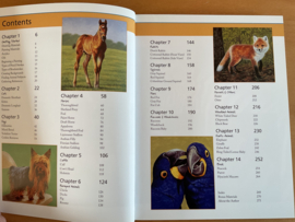 Draw and paint 50 animals - J. Filler Scott