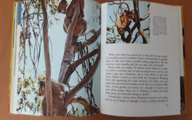 Walt Disney's Strange animals of Australia - M. Lesser