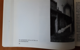 Schiedammers van overal en nergens en hun kerken - R. Bosch