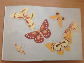 A flight of butterflies - M.O.M.A.