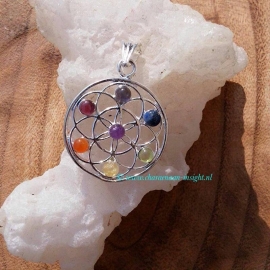 Chakra Mandala hanger