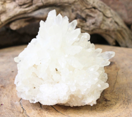 Calciet ruw dogtooth