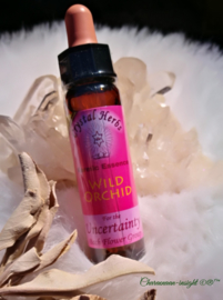 karmic flower essences Wilde orchidee