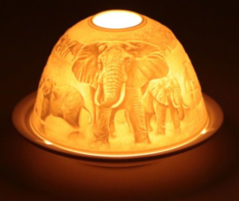 Sfeerlicht Olifant