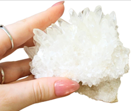 Calciet ruw dogtooth