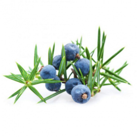 Jeneverbes bes bio (Juniperus communis) 5ml