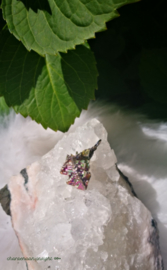 Bismut , Transformatie kristal