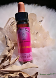 karmic flower essences Geranium