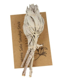 Saliebosje 12 cm