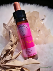 karmic  flower essences Roze roos