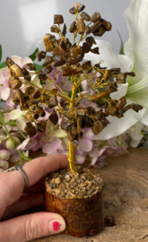 Edelsteen boompje Tijgeroog ca. 18 cm