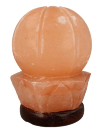 Zoutsteen lamp lotus incl. elektra Quantity