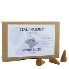 Wierook kegels/Cones Witte Salie