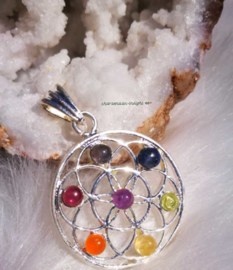 Chakra Mandala hanger