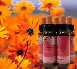 karmic  flower essences Roze roos