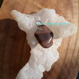 Versteend hout