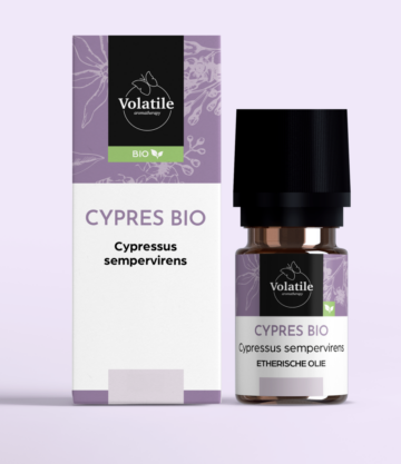 Cypres bio 10 ml (Cypressus sempervirens)